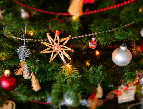 Fröhliche Weihnachten und ein gutes neues Jahr!